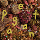 Image for article titled Girlpool, PWR BTTM, Todd Rundgren, and more in this week’s music reviews